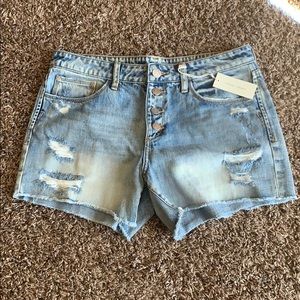 NWT Gilded Intent Buckle Shorts